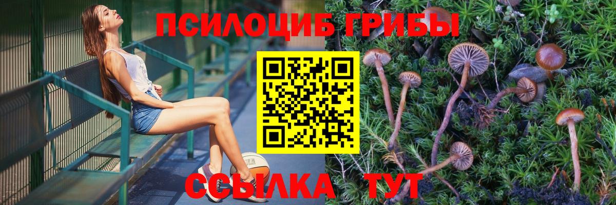 Галлюциногенные грибы Cubensis Самара
