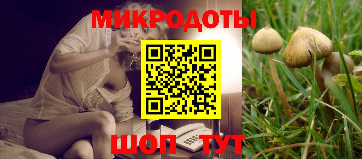 Псилоцибиновые грибы Psilocybine cubensis  Галлюциногенные грибы Magic Shrooms  Самара  Вход с VPN 